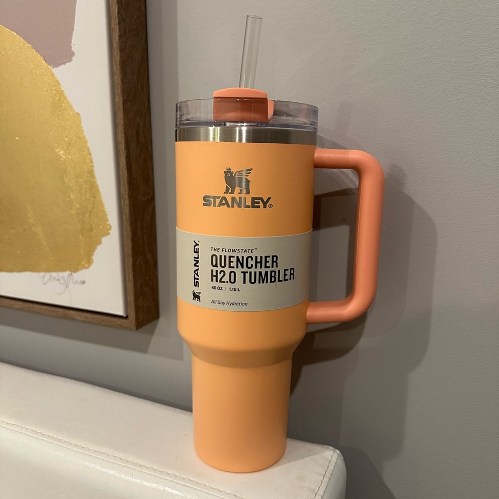 BRAND NEW Stanley 40oz Target “Melon”